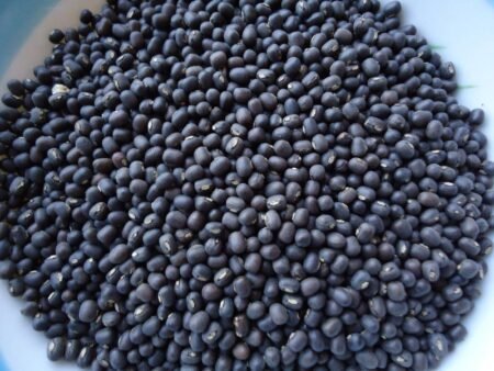 Urad Whole (500 gm)