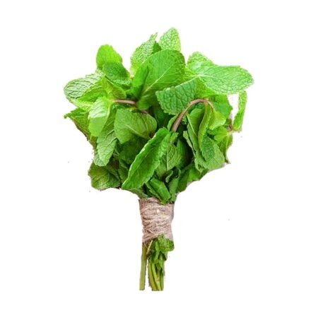 Mint (1 Bunch)