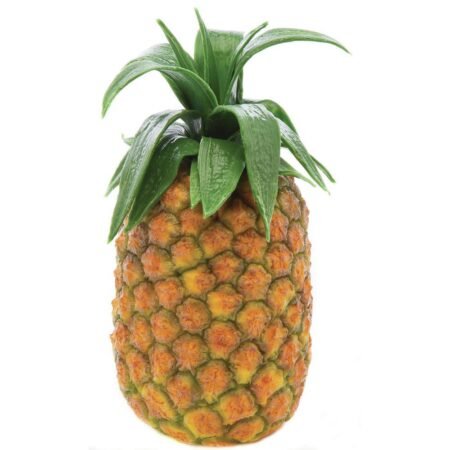 Queen Pineapple (1 kg)